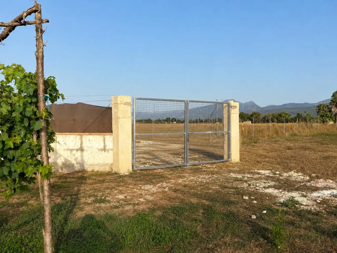 Terreny residencial en venda a Sa Pobla, imagen 8