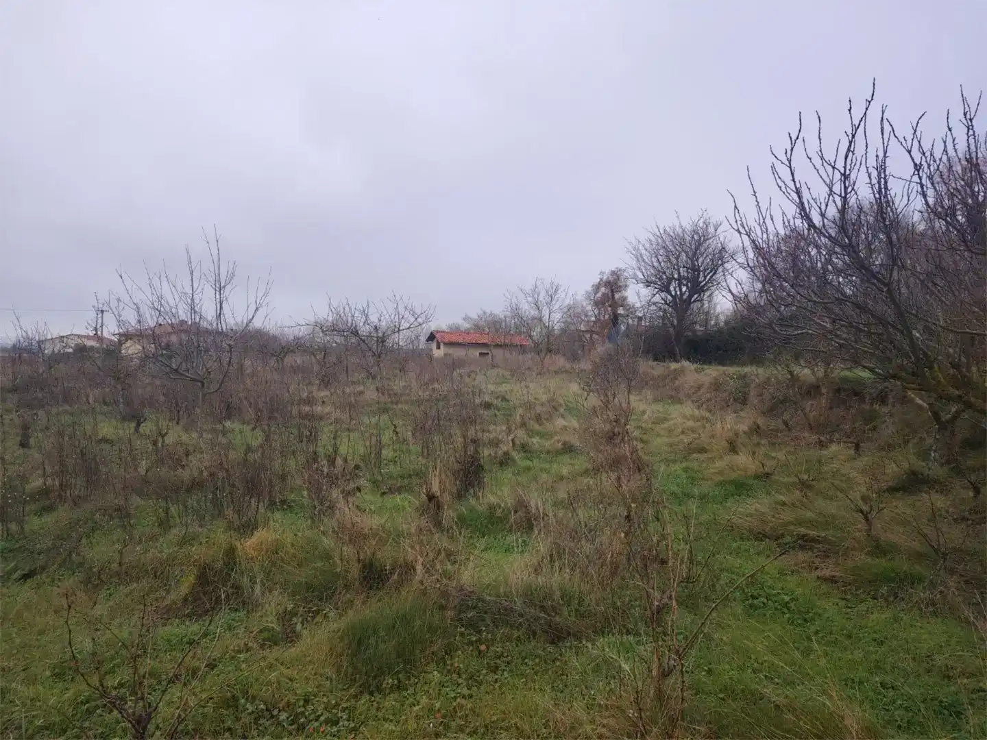 Terreno en venta en Leza