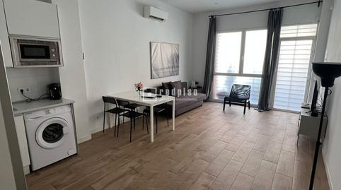 Photo 4 of Study for sale in Jose Maria Peman, San Isidro, Madrid