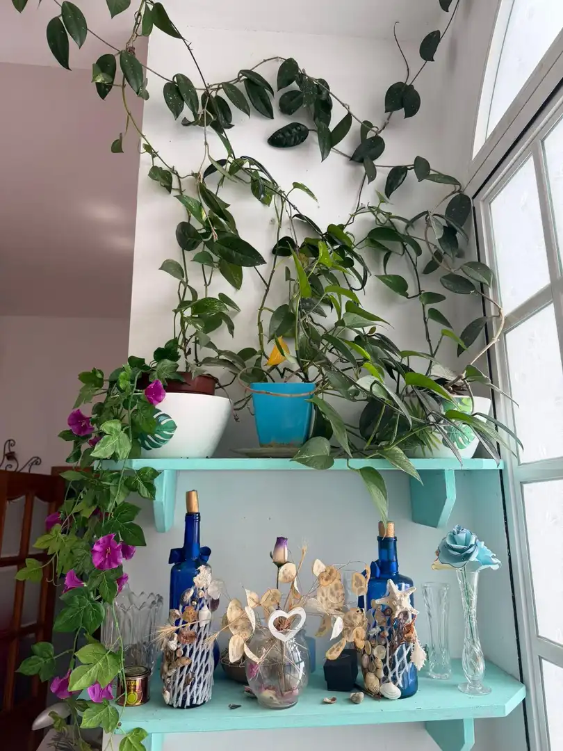 Flat for sale in La Caleta - La Viña, imagen 33