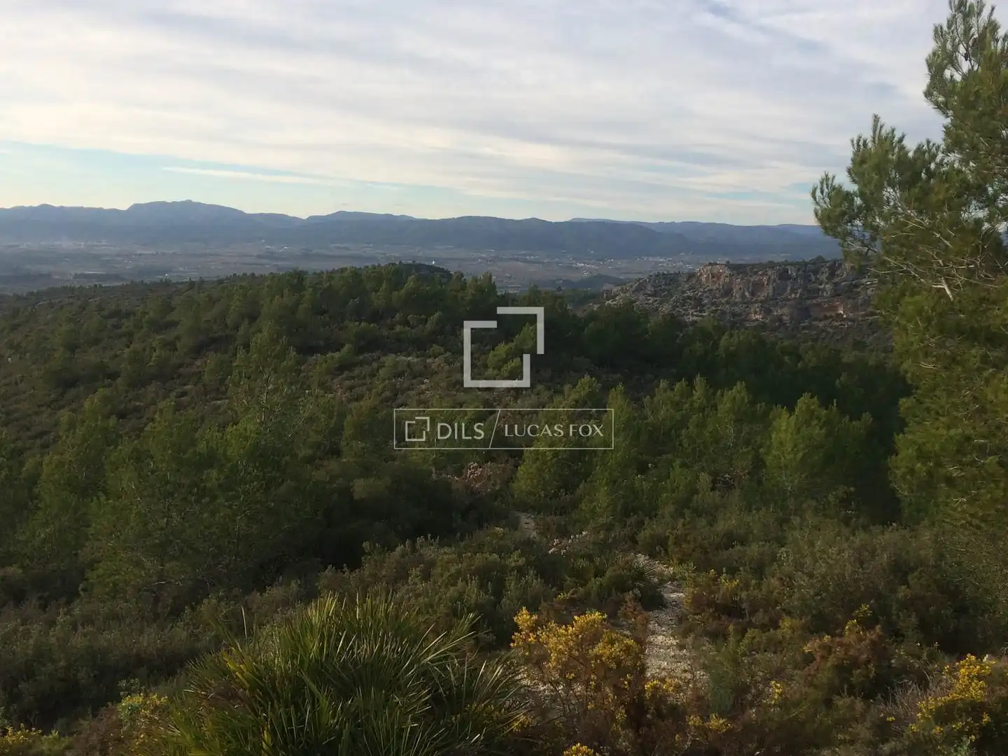 Casa rustica in vendita a Castellet i la Gornal, imagen 27