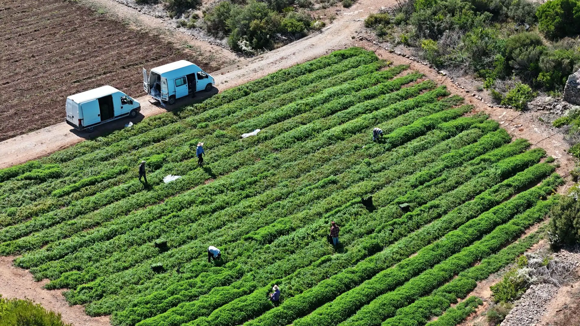 Jardín de Terreno en venta en Tortosa