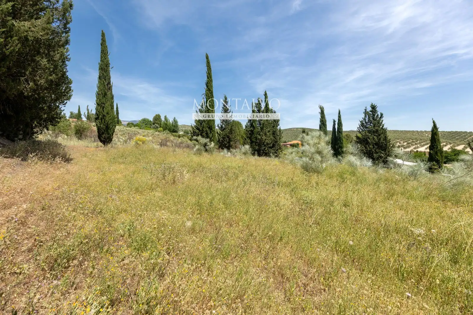 Land for sale in Pinos Puente