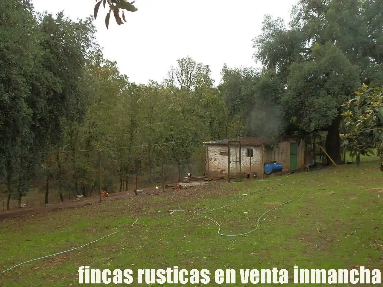 Land for sale in Abenójar