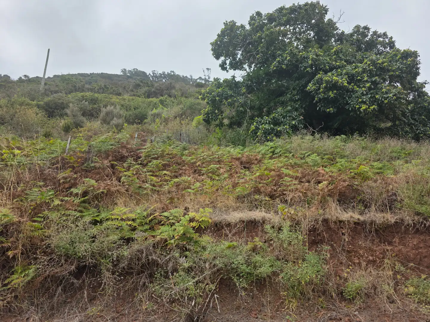Rural land for sale in Camino las Peñuelas 11, imagen 9