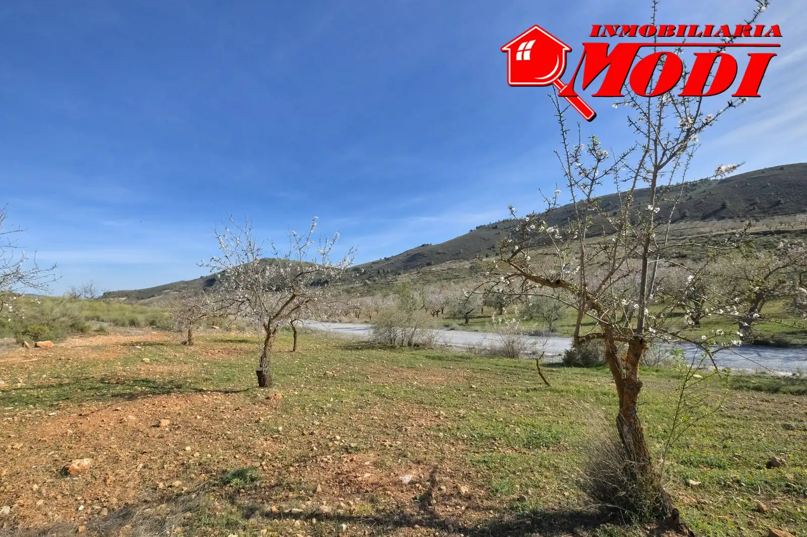 Terreni e lotti in vendita a El Valle, imagen 10