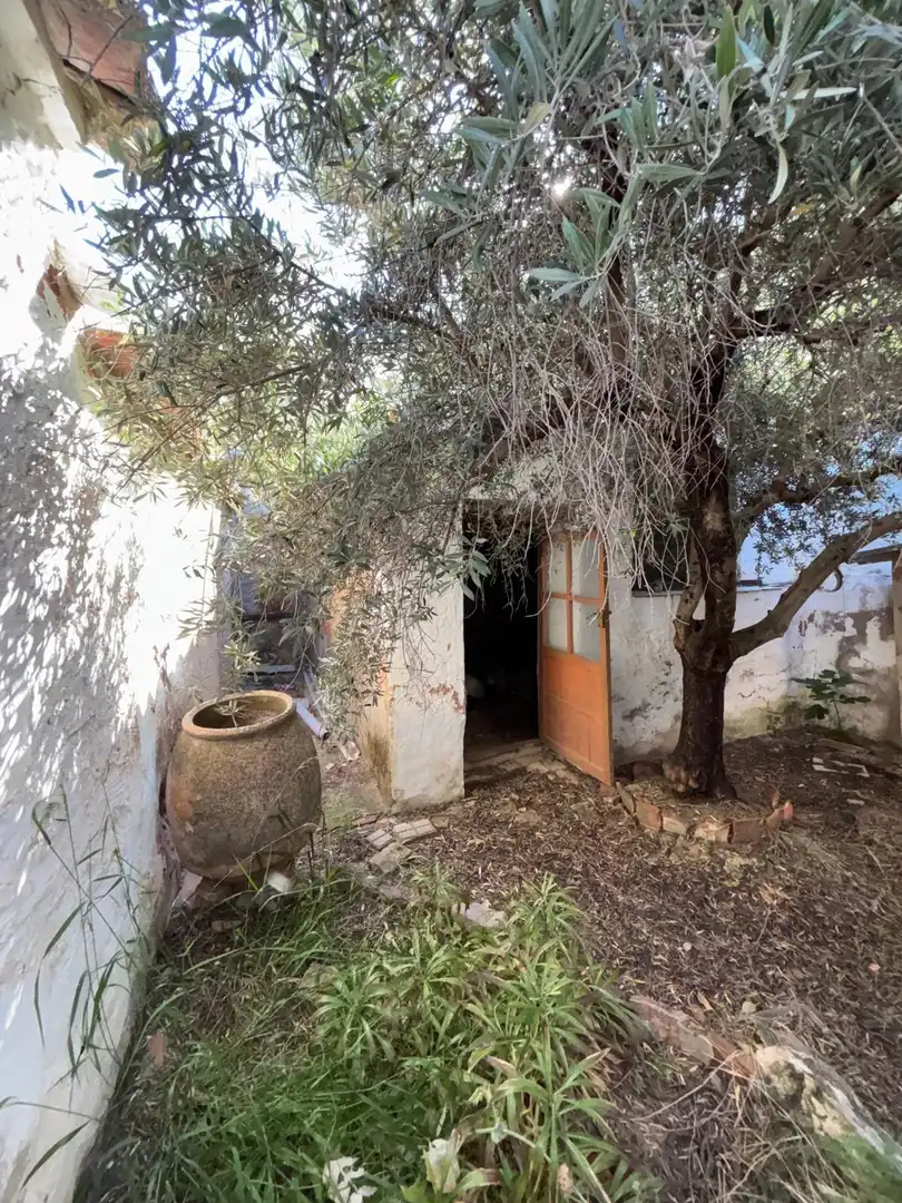 Jardín de Casa o chalet en venta en Moral de Calatrava