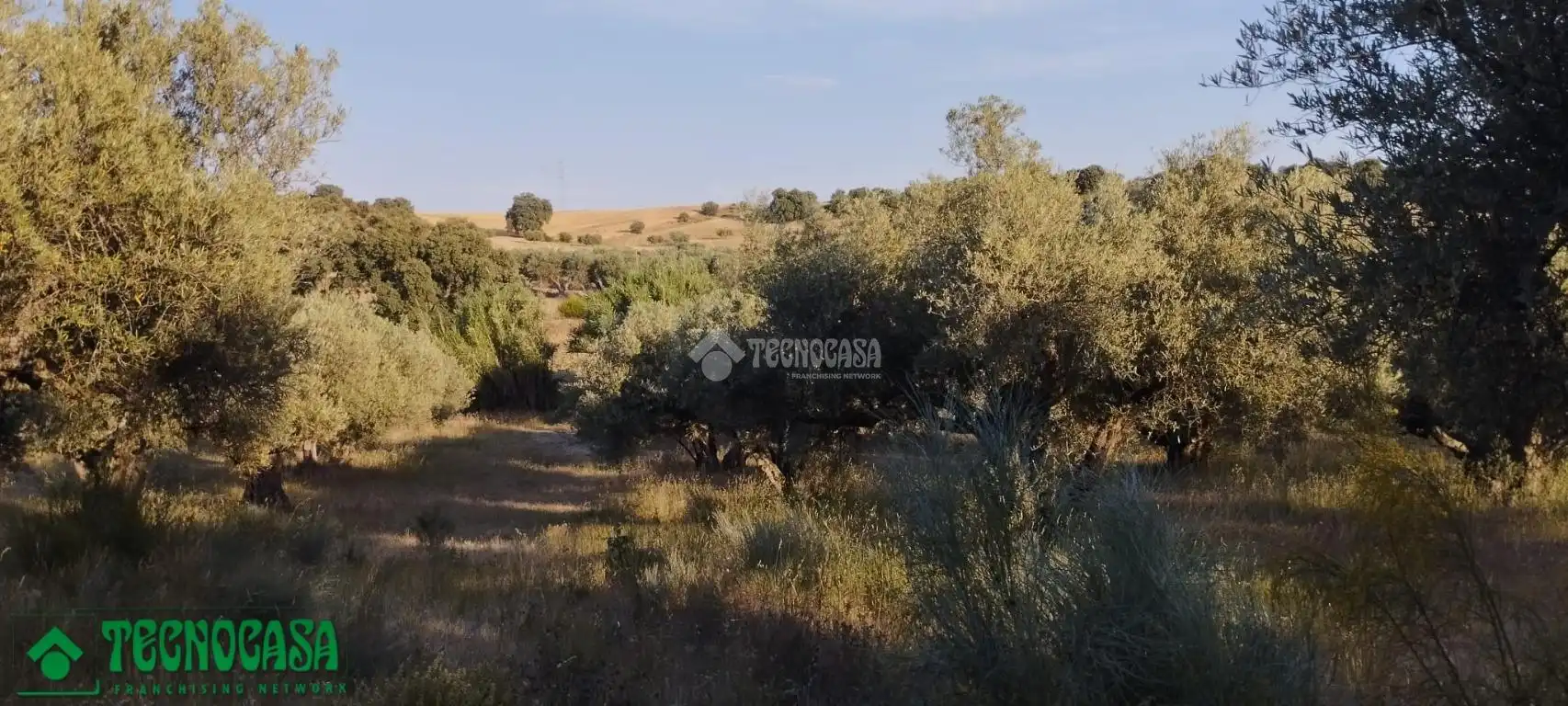 Terreni e lotti in vendita a Méntrida, imagen 27