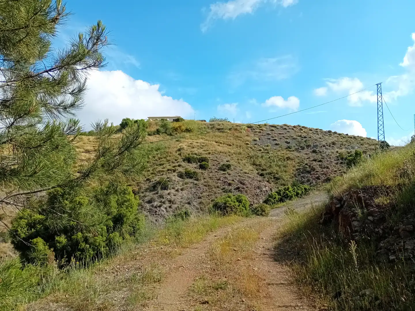 Terreno rustico in vendita a Monda, imagen 10