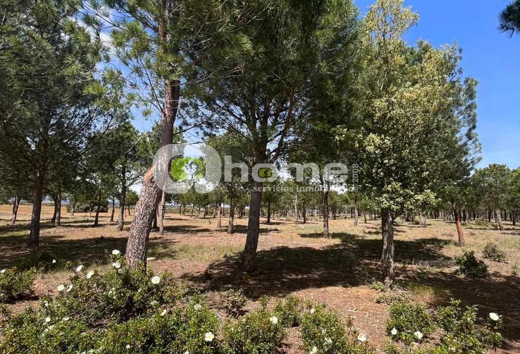 Terreno en venta en Granja de Moreruela