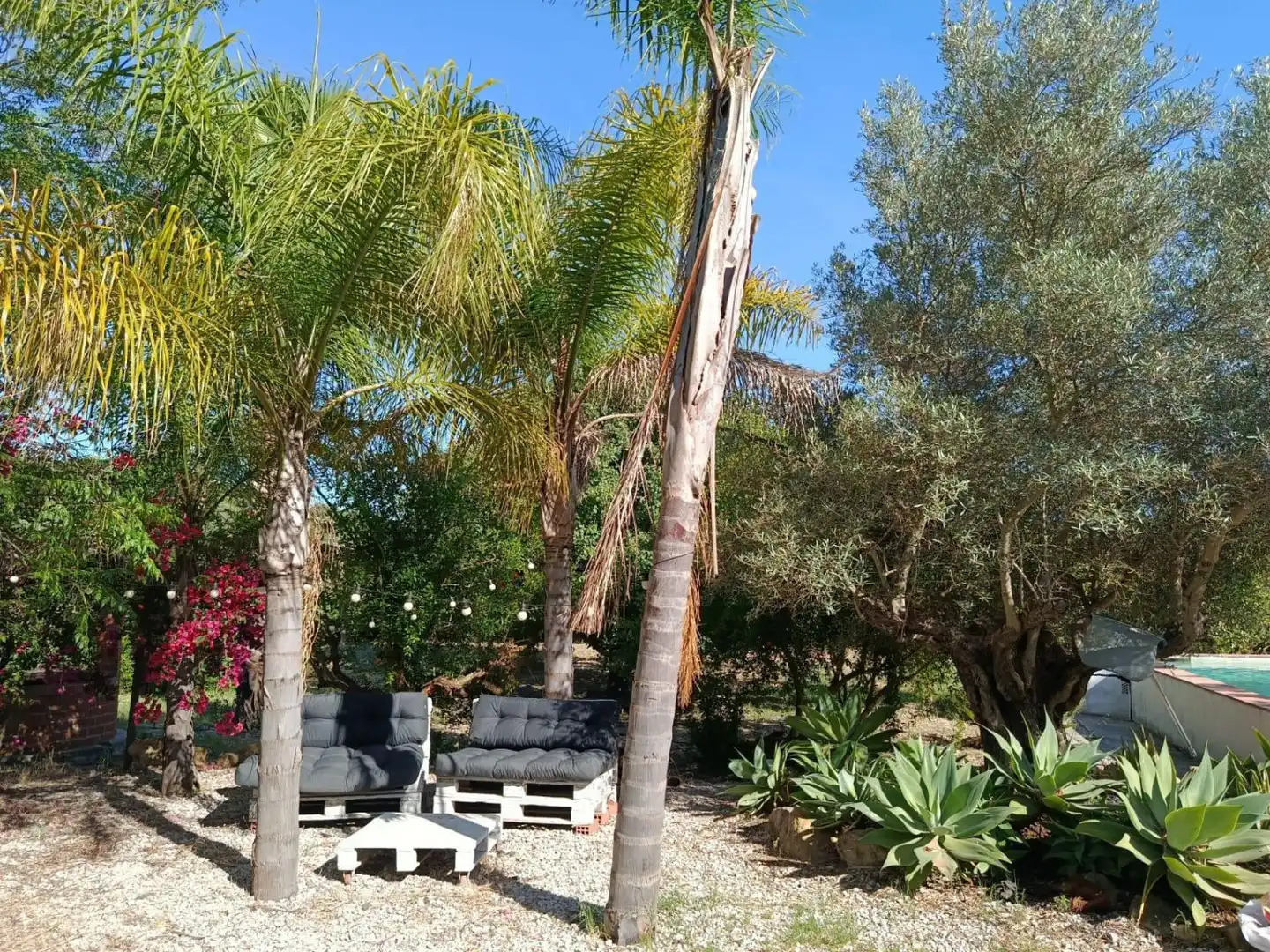 Casa rústica amb piscina en venda a San Martín del Tesorillo, imagen 50
