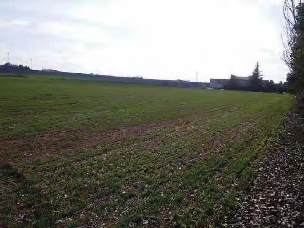 Terreno rústico en venta en Daimiel, imagen 4
