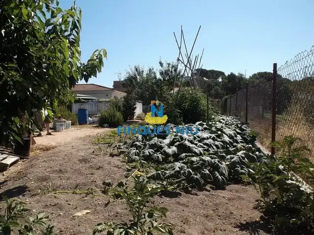Chalet con piscina en venta en Carrer Sant Jaume 655, imagen 13