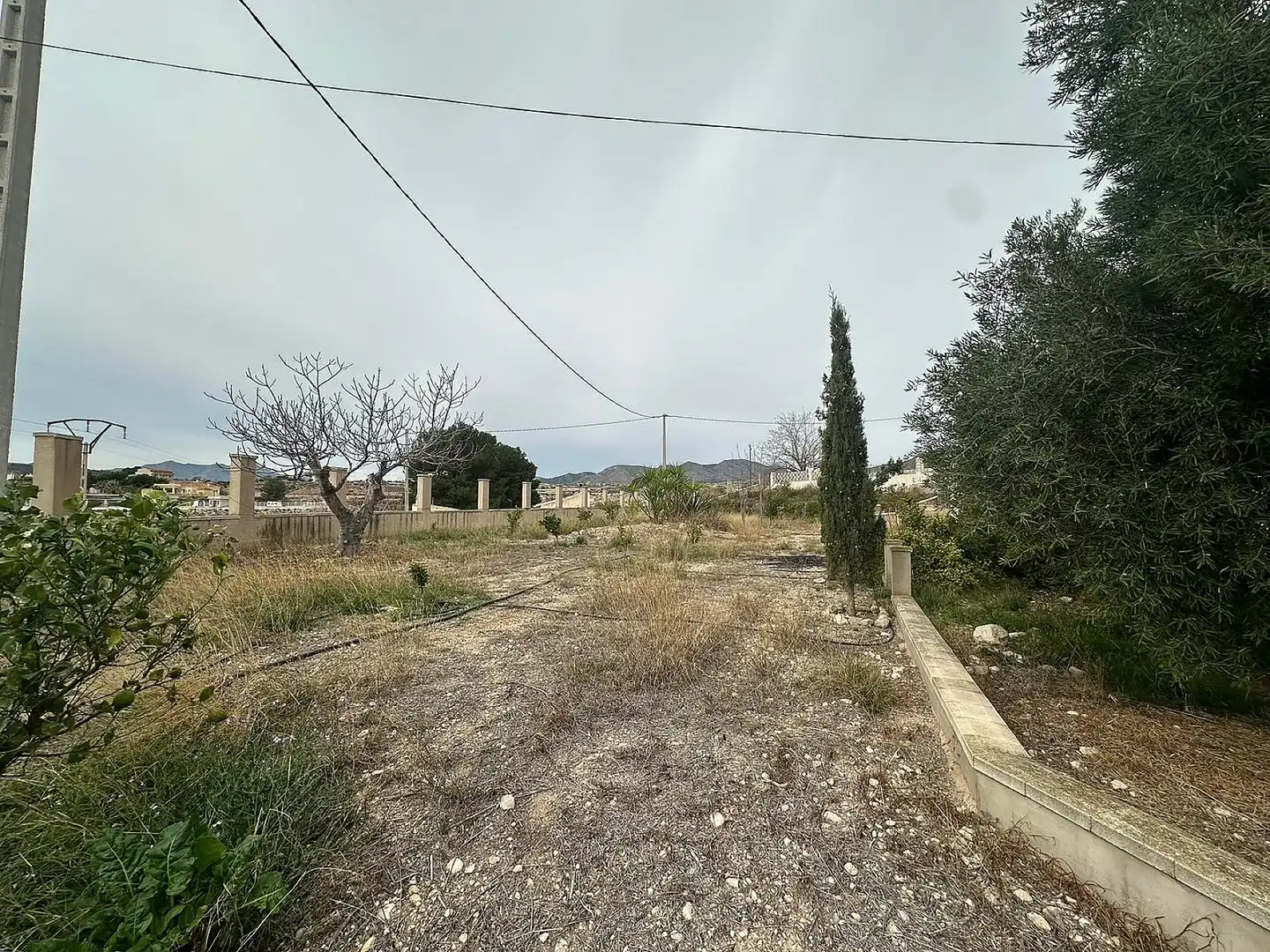 Maison rustique à vendre à Novelda, imagen 21