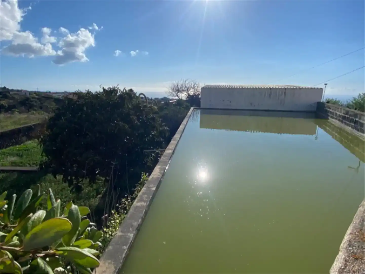 Swimming pool of Houses for sale in El Paso  with Private garden and Storage room