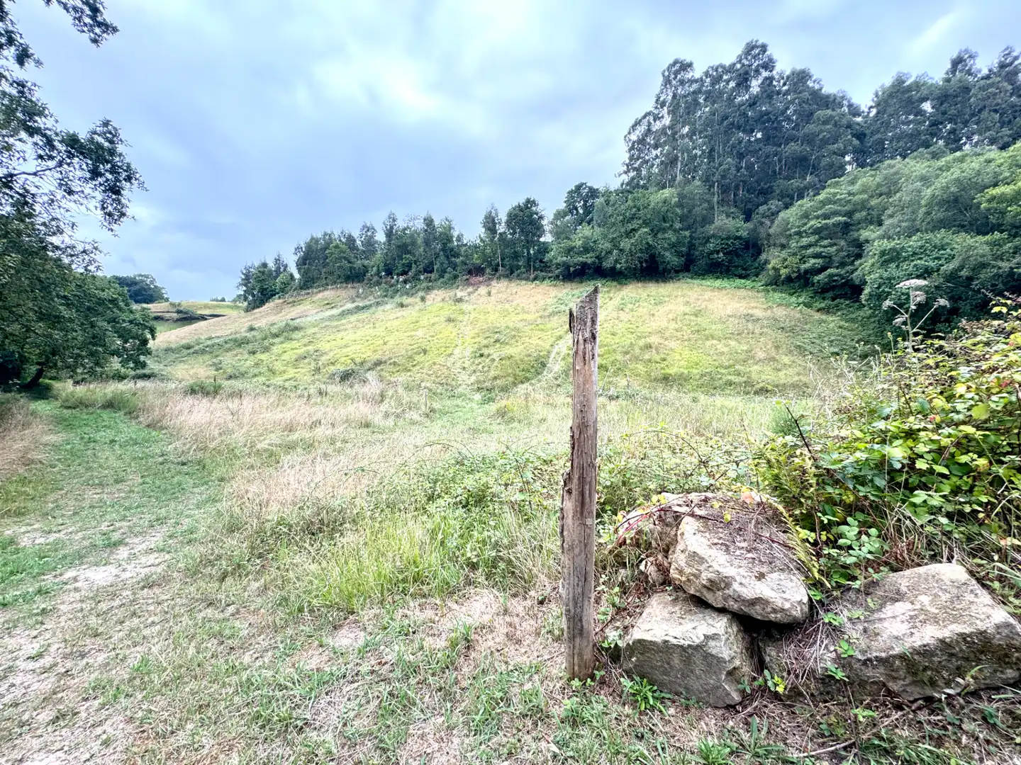 Terreno en venta en Villaviciosa