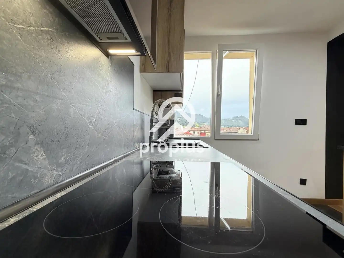 Cocina de Piso en venta en Parres, Asturias