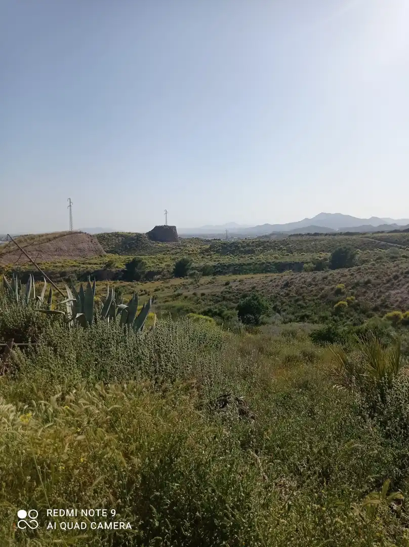 Terrains et parcelles à vendre à Pedanías Centro, imagen 18