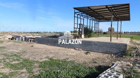 Finca rústica en venta en Catral Alicante, immagine 3