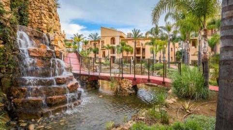 Foto 5 de Planta baixa de lloguer a El Paraíso, Benahavís