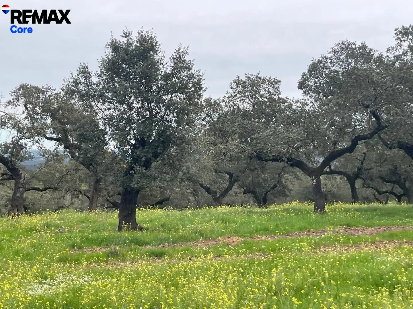 Terreni e lotti in vendita a Jerez de los Caballeros, imagen 18