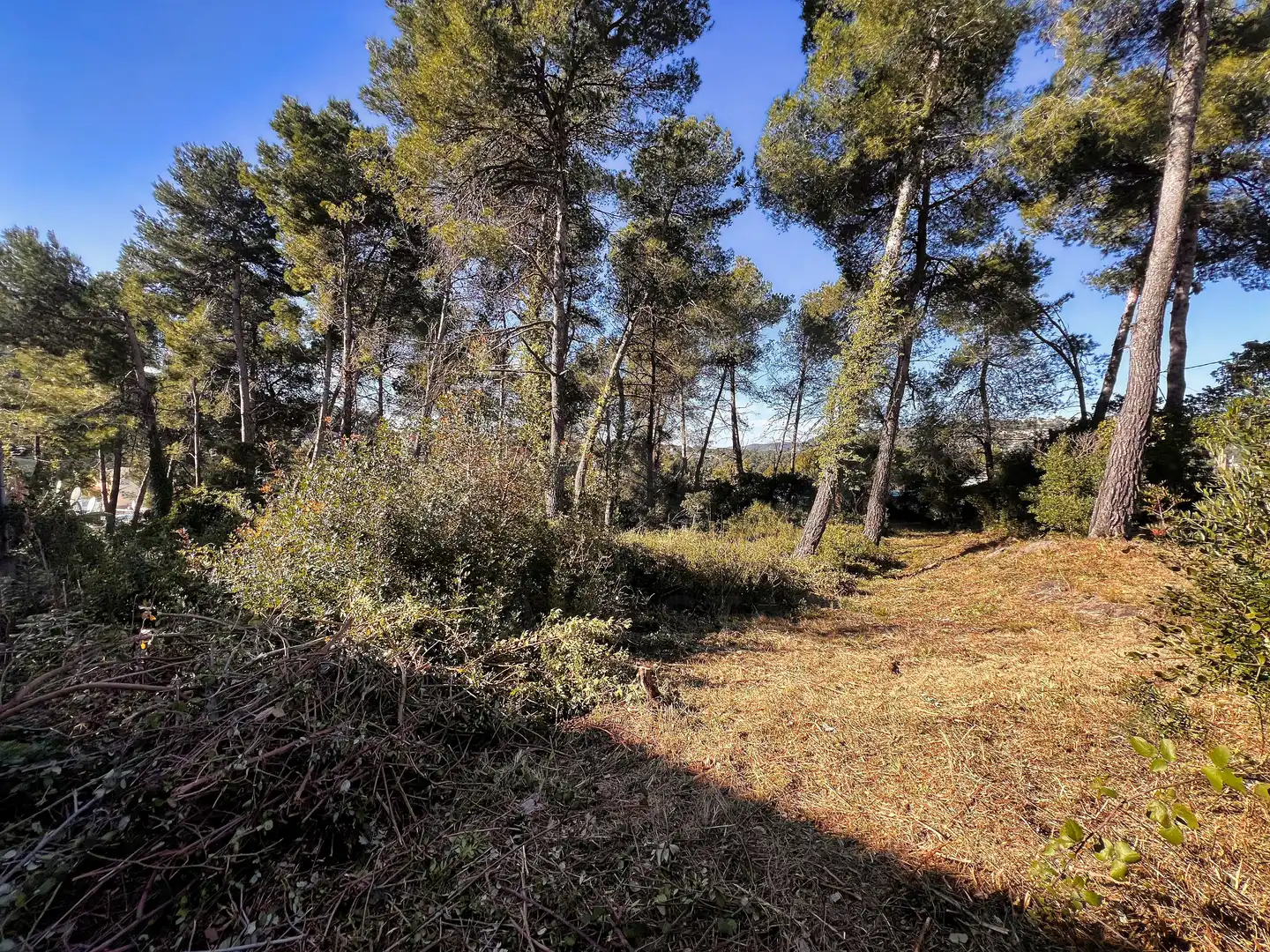 Residential land for sale in Vallirana, imagen 6