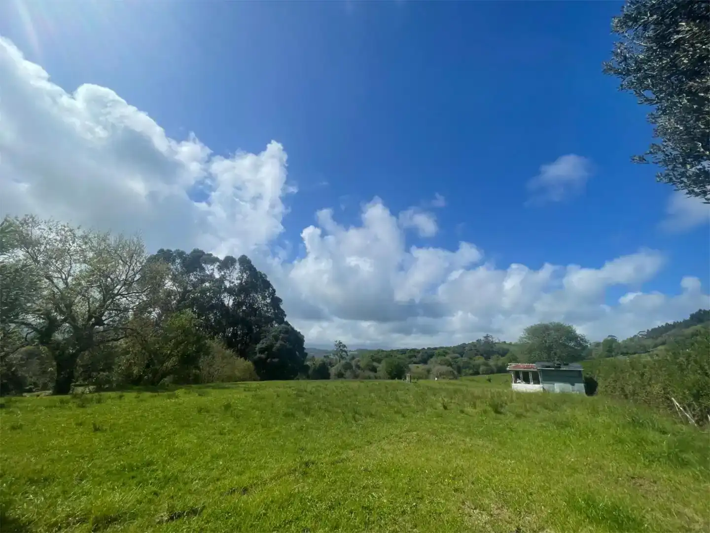 Residencial en venda en Val de San Vicente 