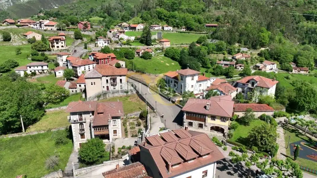 Vista exterior de Casa adosada en venda en Peñamellera Alta amb Calefacció