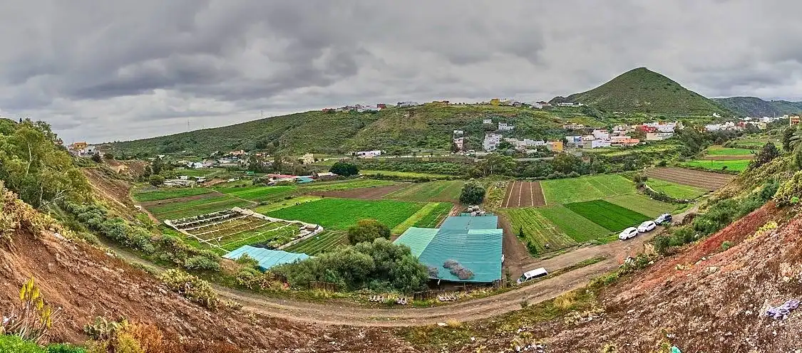 Vista exterior de Finca rústica en venda en Las Palmas de Gran Canaria amb Jardí privat, Terrassa i Traster