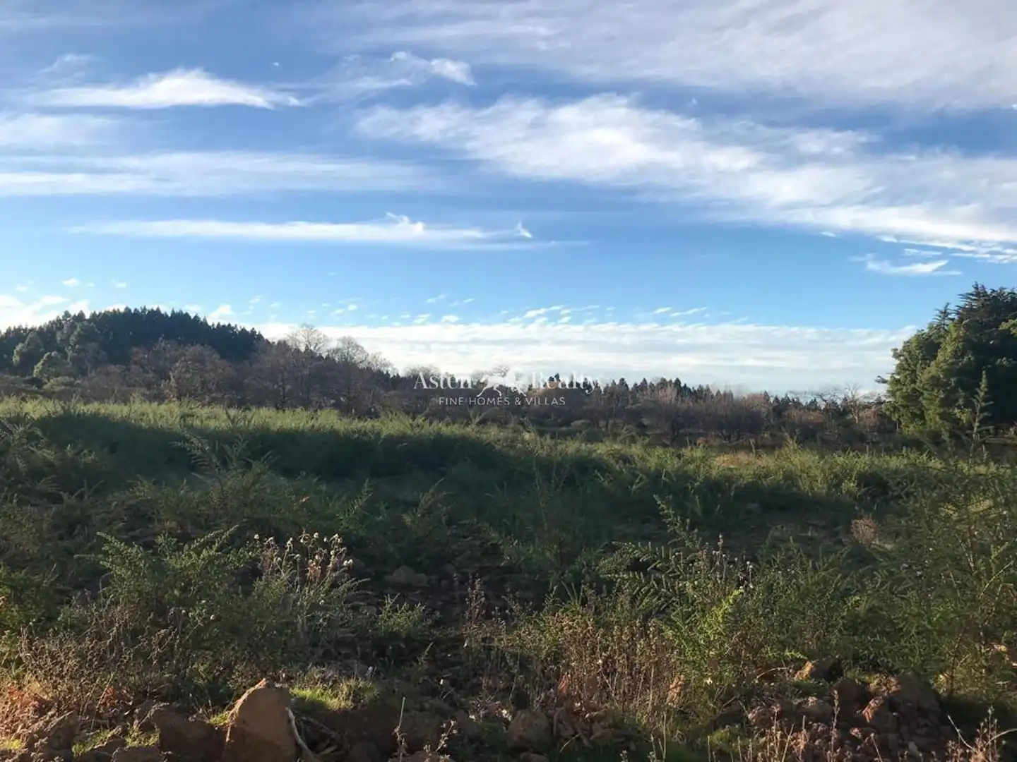 Terreno rústico en venta en La Matanza de Acentejo, imagen 5