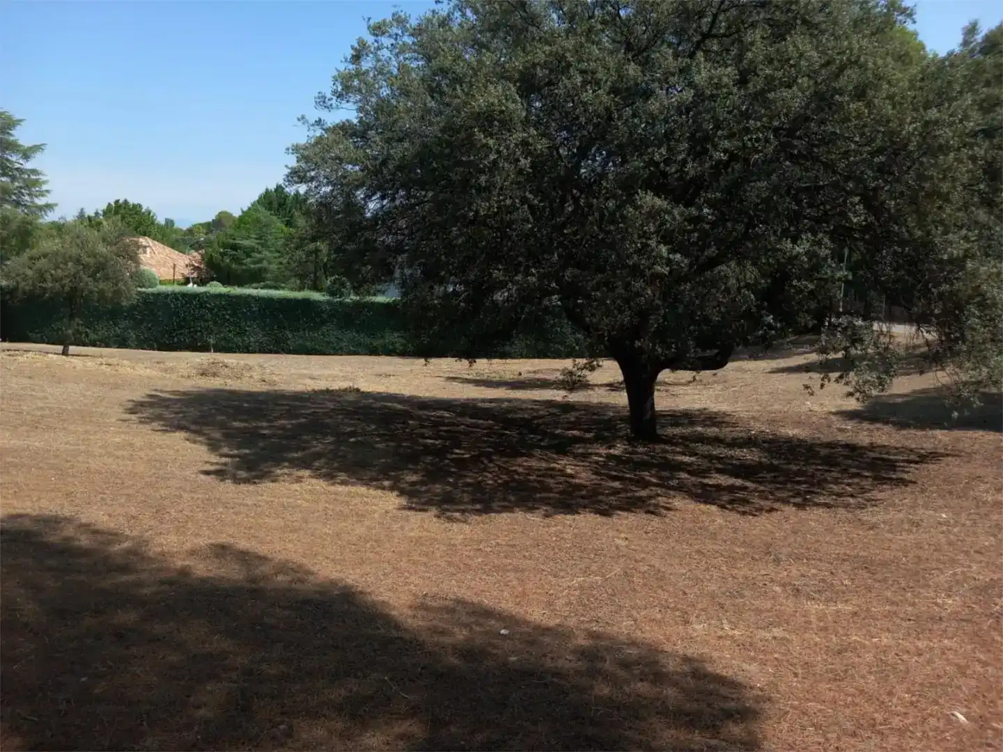 Terreno en venta en Villaviciosa de Odón