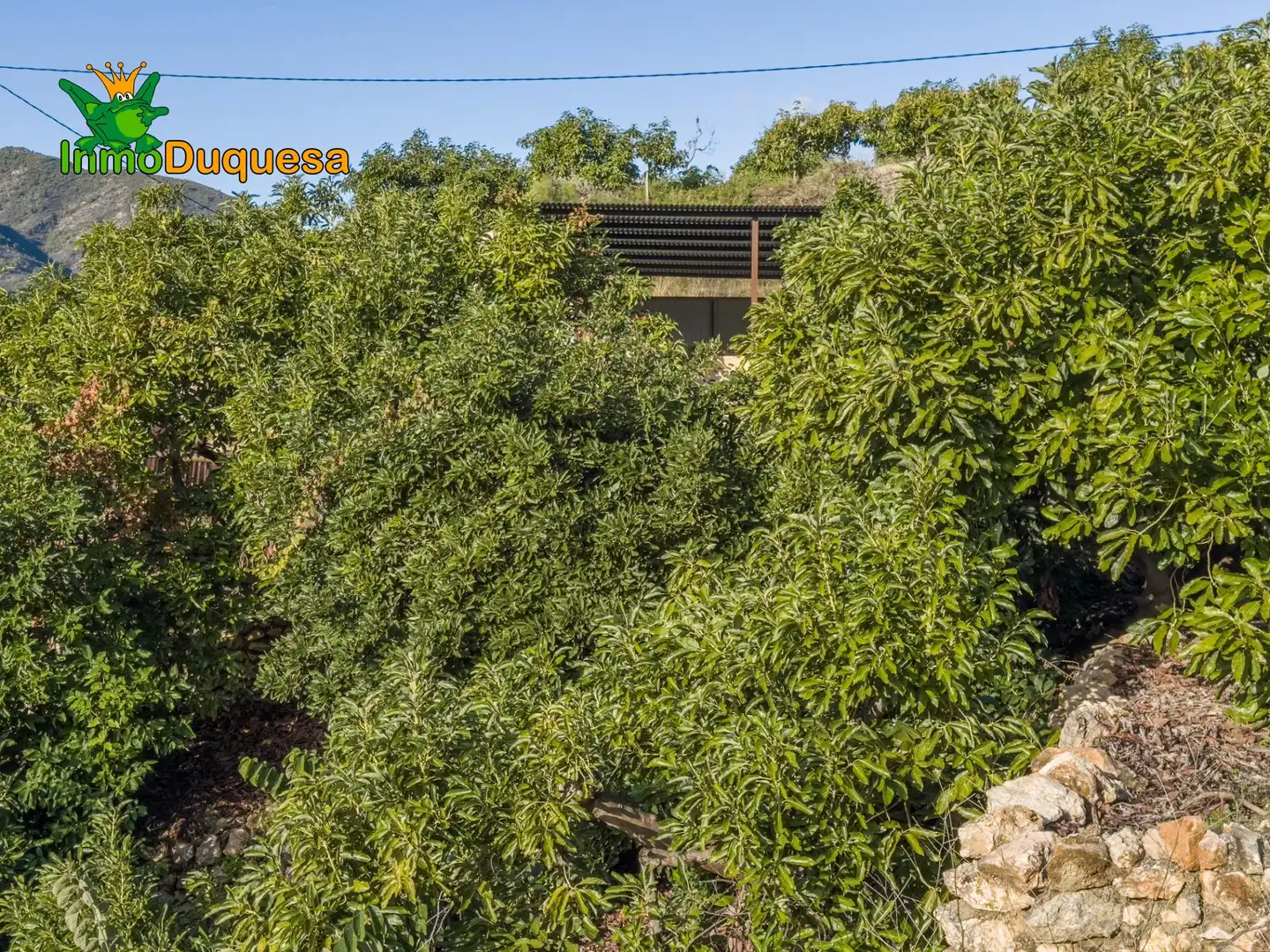 Casa rústica en venta en Calle Diseminados, Pol-8 Par-359 000, imagen 30