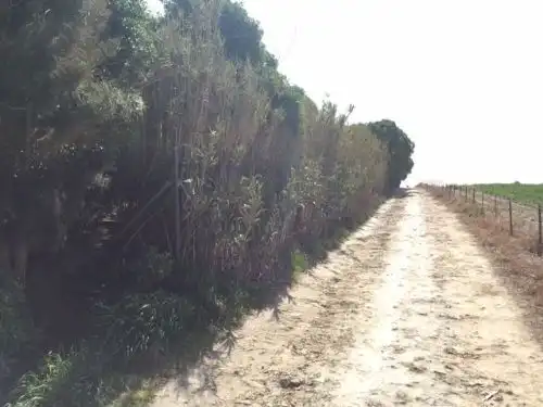 Terreno en venta en Rota