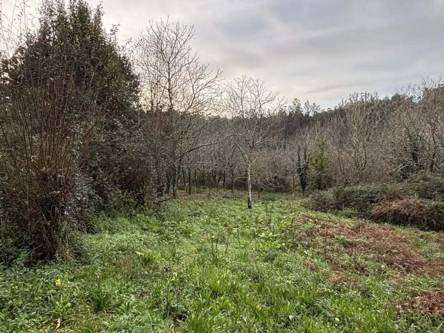 Casa rústica amb jardí en venda a Lugar Portobo 1, imagen 4
