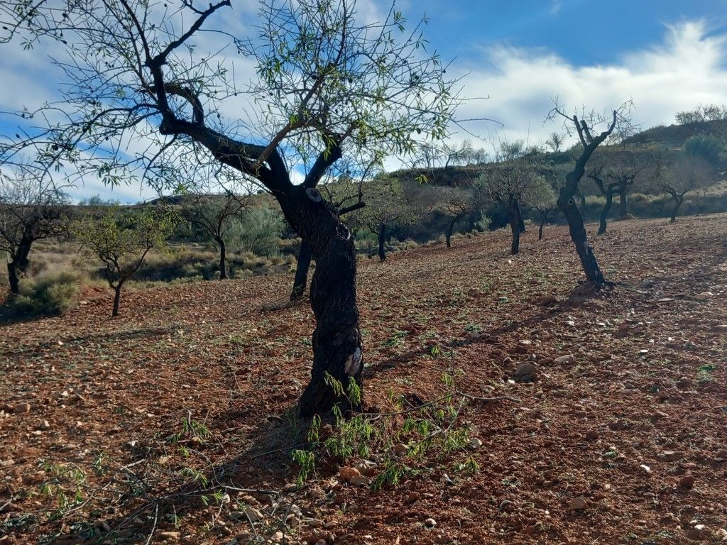 Country house for sale in Lubrín  with Terrace