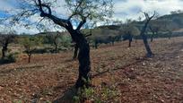 Finca rústica en venda en Lubrín amb Terrassa