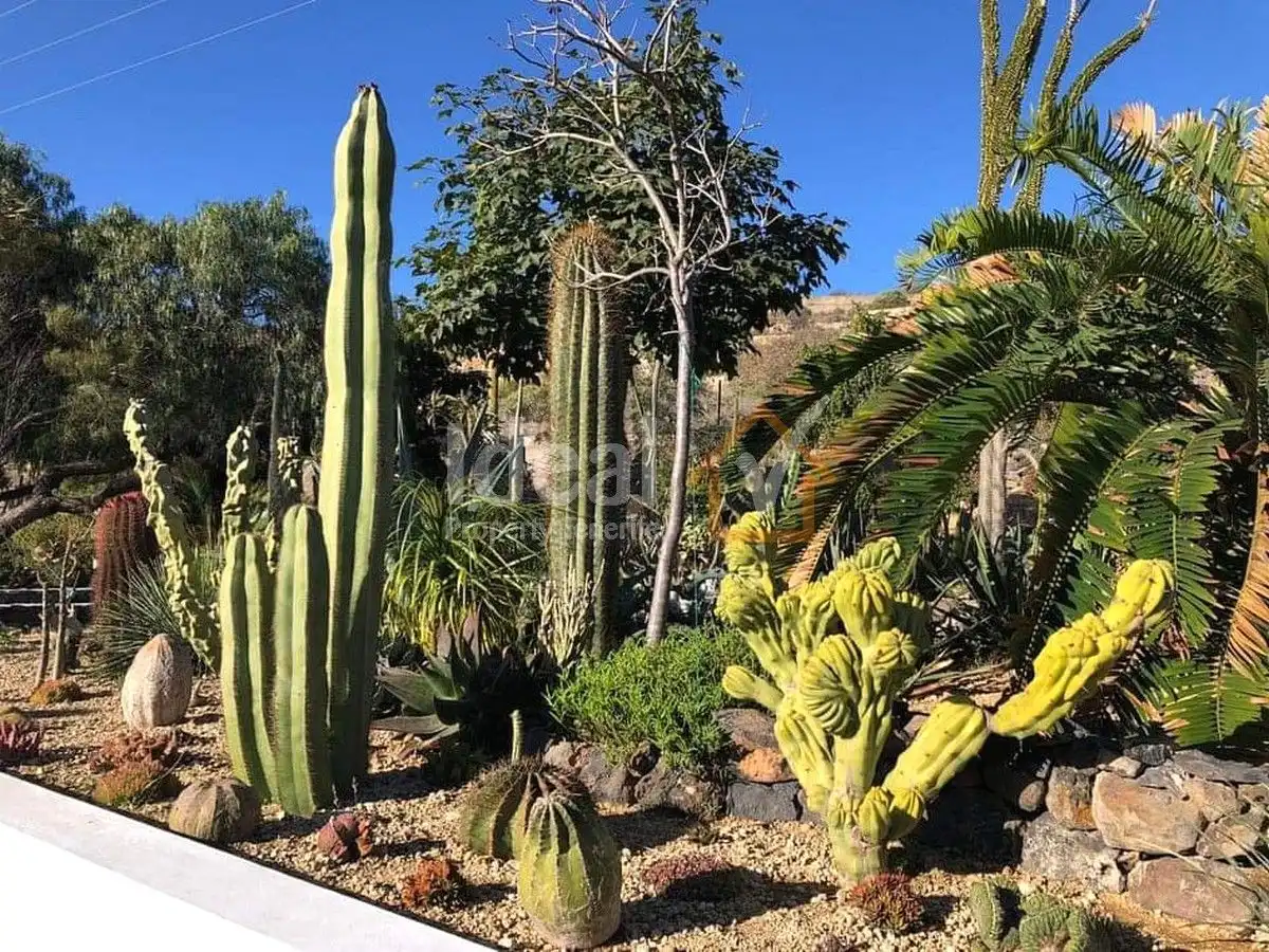 Garden of Houses for sale in Güímar  with Private garden, Terrace and Swimming Pool