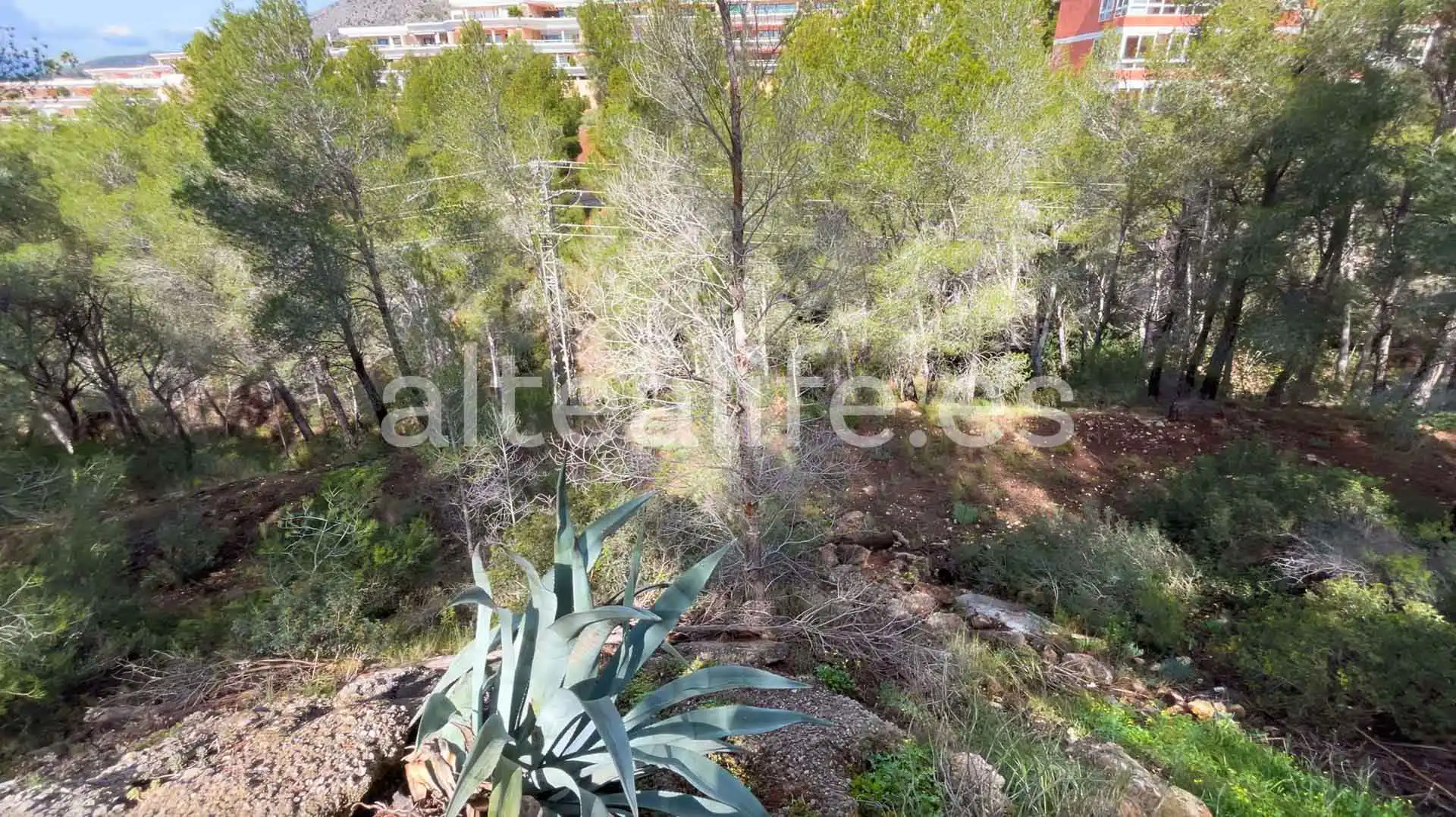 Terreny residencial en venda a Calle Erica, imagen 10