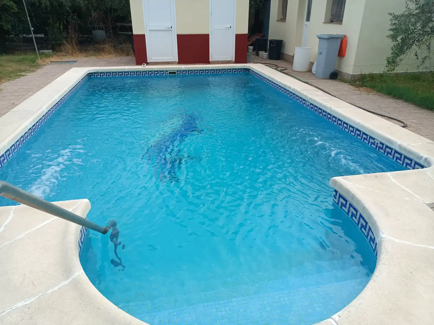 Piscina de Casa o xalet en venda en Poniente-Norte - Miralbaida - Parque Azahara