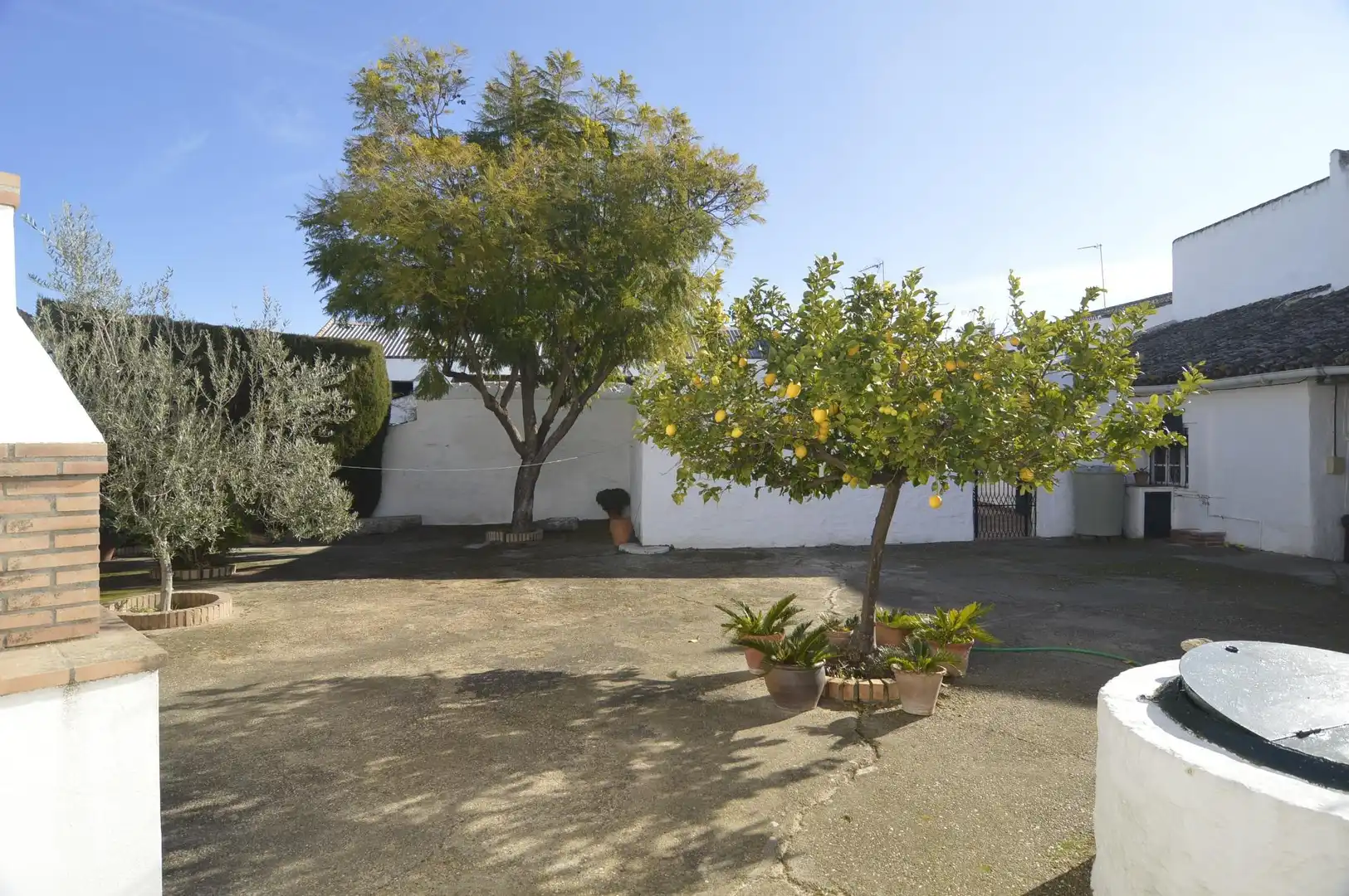 House with terrace for sale in Plaza ESPAÑA DE 8, imagen 15