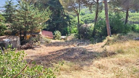 Terreno con vistas y gran potencial en venta en Argentona, imatge 2
