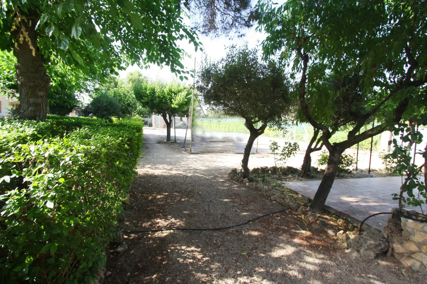 Jardí de Casa o xalet en venda en Albacete amb Aire condicionat, Jardí privat i Terrassa