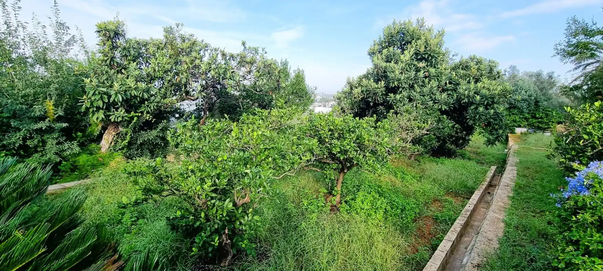 Houses for sale in Alzira  with Air Conditioner, Private garden and Terrace