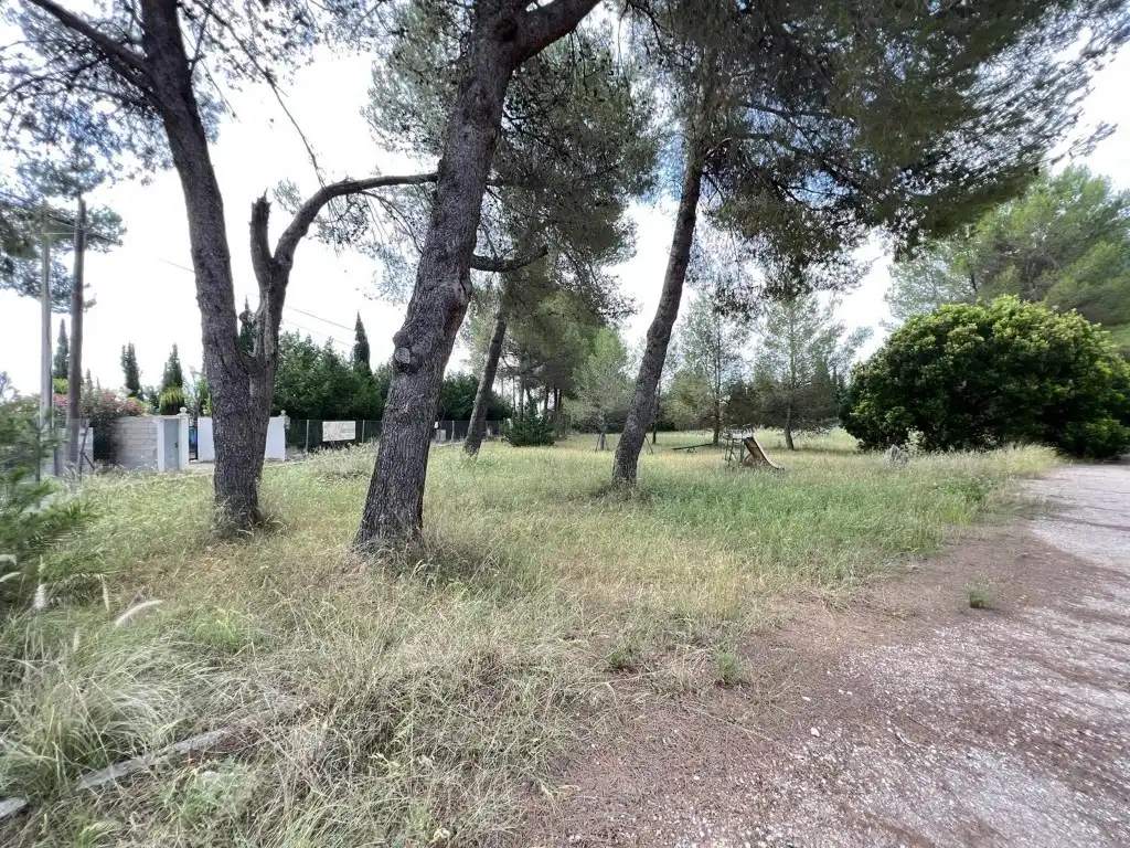 Terreny residencial en venda a Alberic, imagen 17