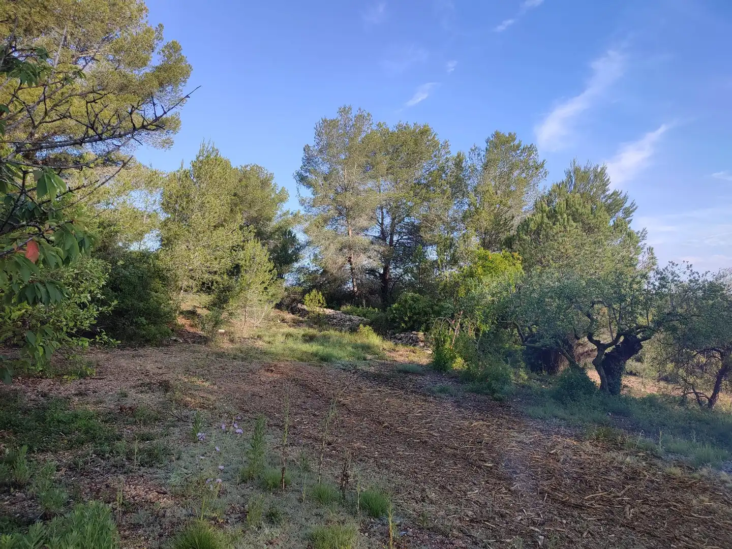 Finca rústica en venta en La Riera de Gaià con Trastero