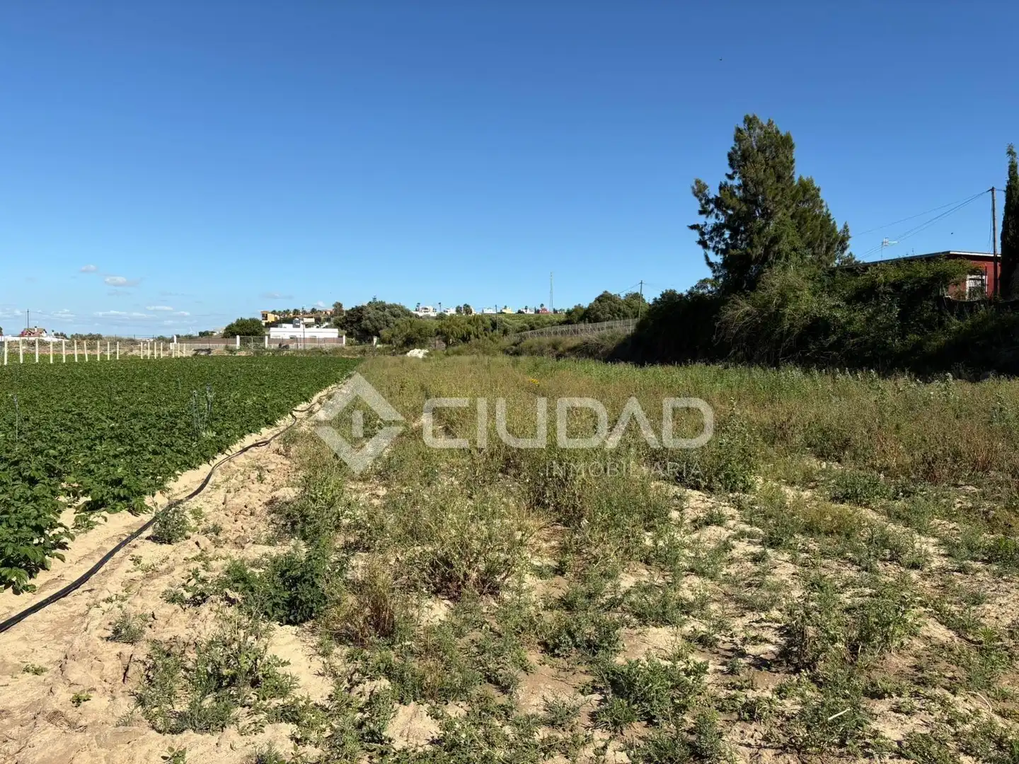 Terreno en venta en Sanlúcar de Barrameda
