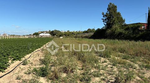 Foto 3 de Terreno en venta en Bonanza - Avda de Huelva - Barrio Andalucia, Sanlúcar de Barrameda