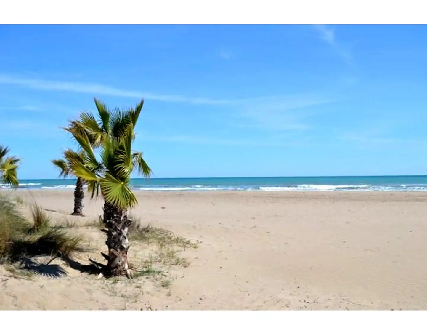Vista exterior de Piso en venta en Castellón de la Plana / Castelló de la Plana con Calefacción, Jardín privado y Trastero