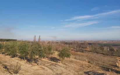 Terreny en venda en Les Borges Blanques