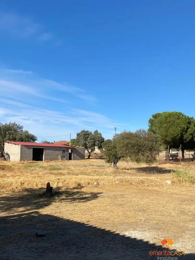 Finca rústica en venda a Centro